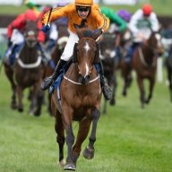 OffTheBridle
