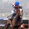 The Giant Bolster