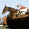 Wayward Lad
