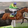 Kauto’s star