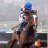 The Giant Bolster